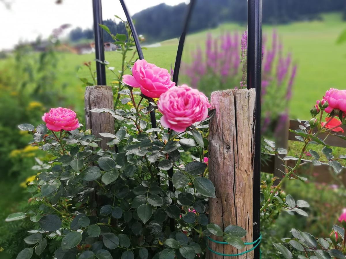 Gastehaus Jochberg Otel Dış mekan fotoğraf